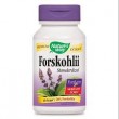 อาหารเสริมลดพุงล่าสุดจากอเมริกาNature's Way Forskohlii Standardized to 20%